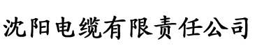 交h电缆厂logo